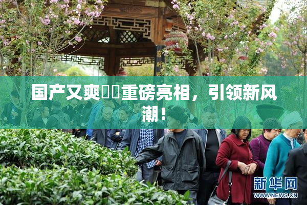 国产又爽❌‌重磅亮相，引领新风潮！