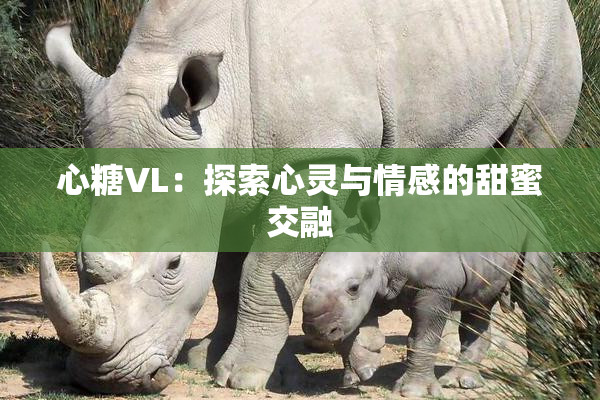 心糖VL：探索心灵与情感的甜蜜交融
