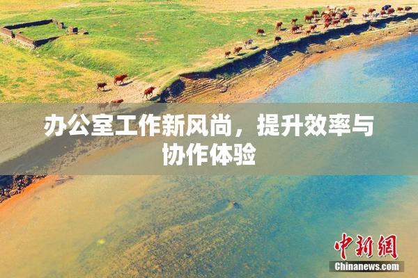 办公室工作新风尚，提升效率与协作体验