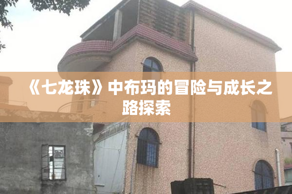 《七龙珠》中布玛的冒险与成长之路探索