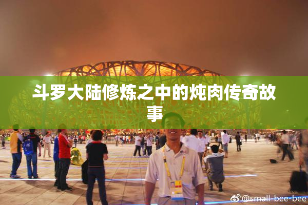 斗罗大陆修炼之中的炖肉传奇故事