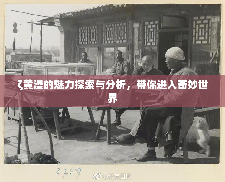 ζ黄漫的魅力探索与分析，带你进入奇妙世界