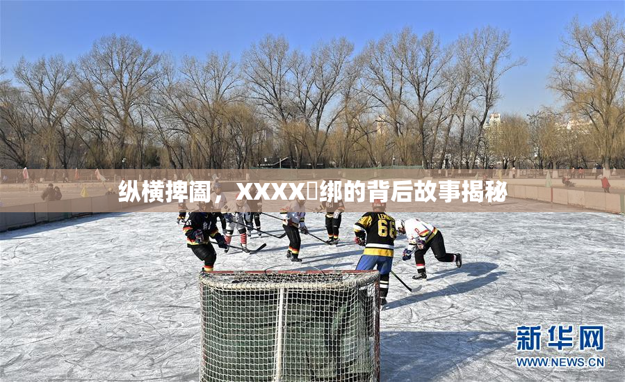纵横捭阖，XXXX秵绑的背后故事揭秘