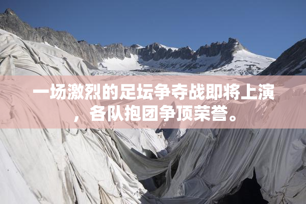 一场激烈的足坛争夺战即将上演，各队抱团争顶荣誉。