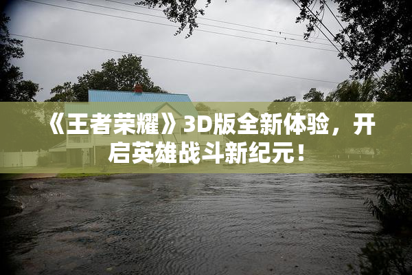 《王者荣耀》3D版全新体验，开启英雄战斗新纪元！