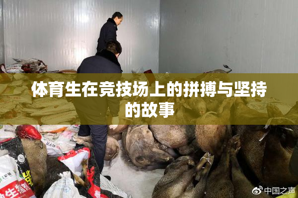 体育生在竞技场上的拼搏与坚持的故事