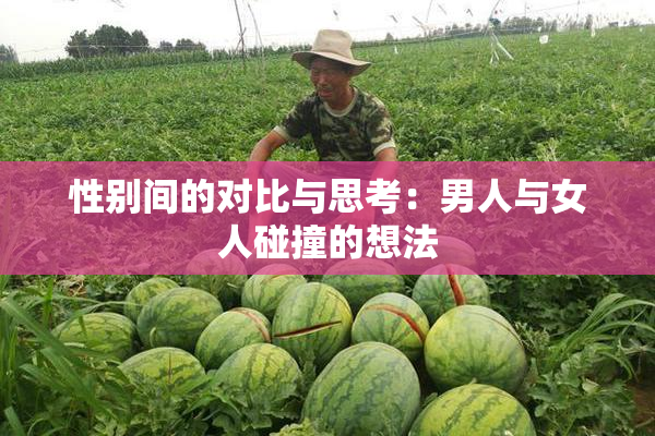 性别间的对比与思考：男人与女人碰撞的想法
