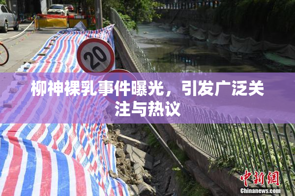 柳神裸乳事件曝光，引发广泛关注与热议