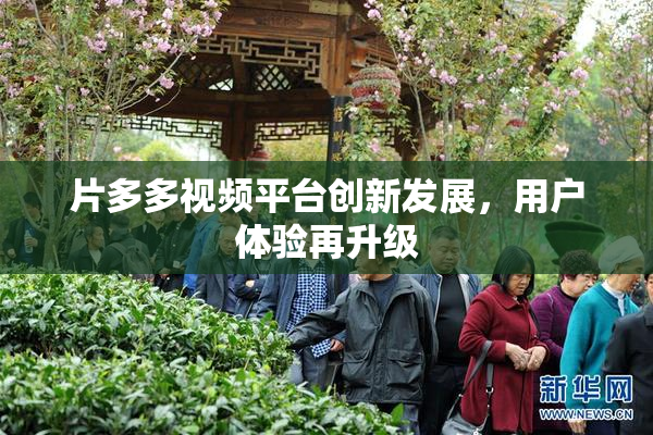 片多多视频平台创新发展，用户体验再升级