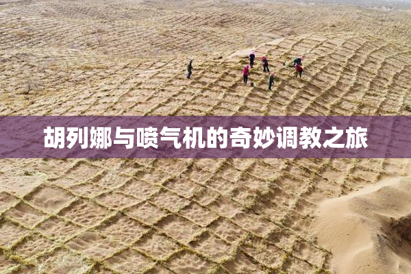 胡列娜与喷气机的奇妙调教之旅