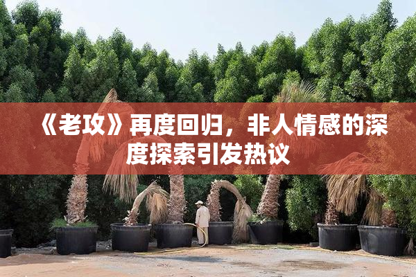 《老攻》再度回归，非人情感的深度探索引发热议