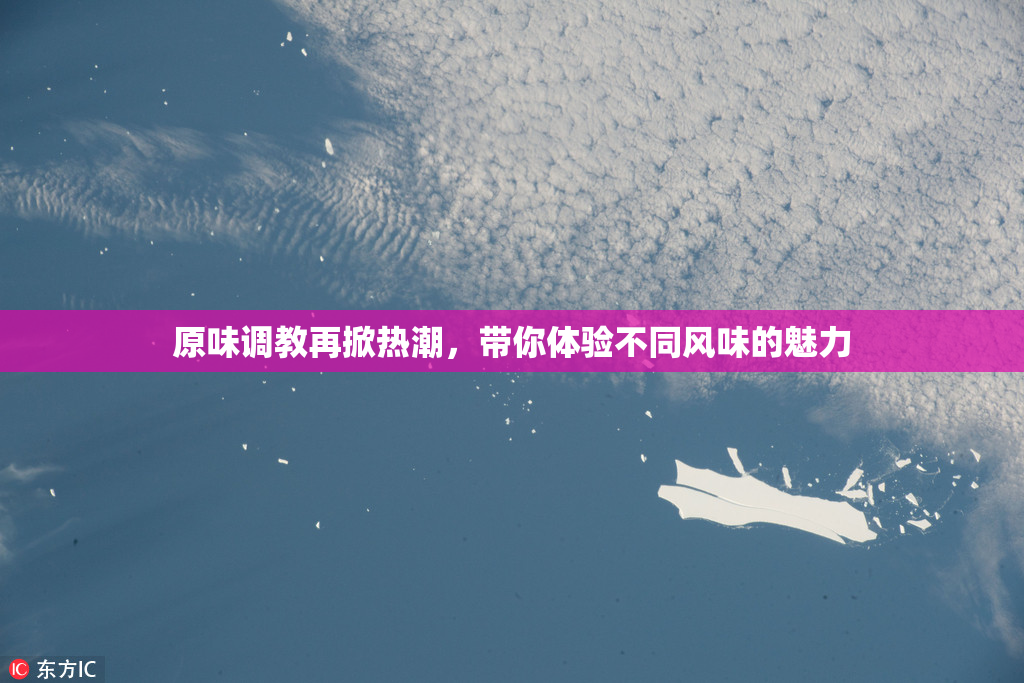 原味调教再掀热潮，带你体验不同风味的魅力