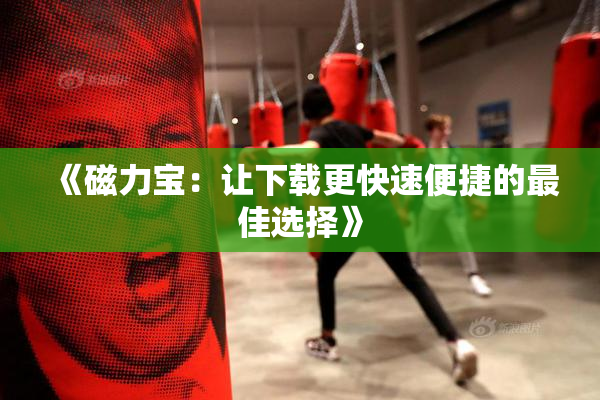 《磁力宝：让下载更快速便捷的最佳选择》