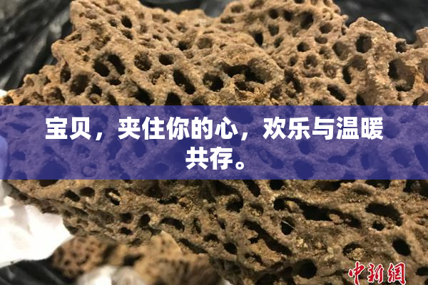 宝贝，夹住你的心，欢乐与温暖共存。