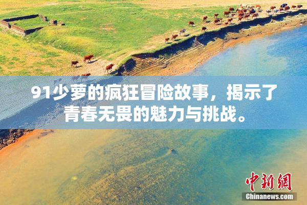 91少萝的疯狂冒险故事，揭示了青春无畏的魅力与挑战。