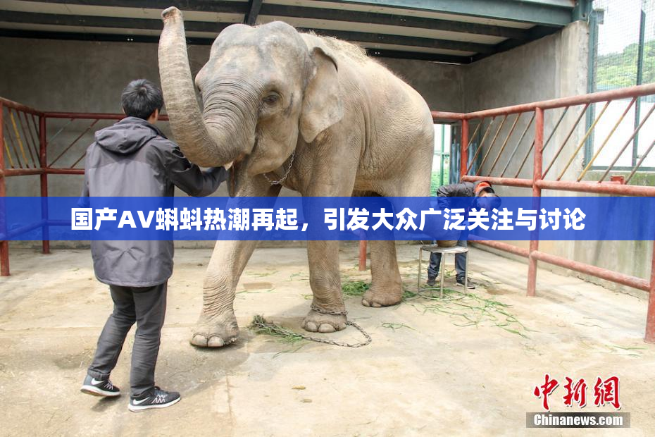 国产AV蝌蚪热潮再起，引发大众广泛关注与讨论
