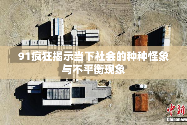 91疯狂揭示当下社会的种种怪象与不平衡现象