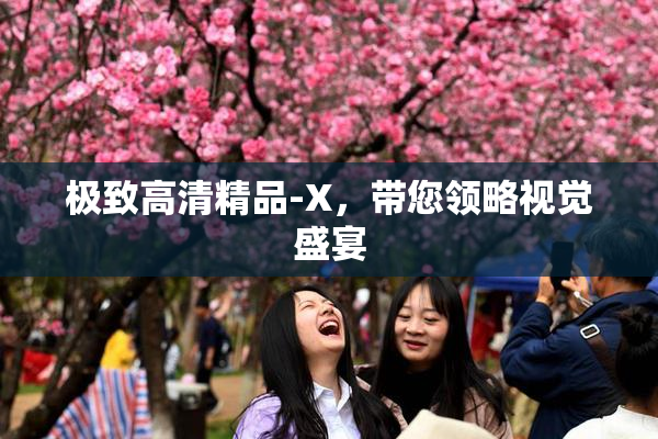极致高清精品-X，带您领略视觉盛宴