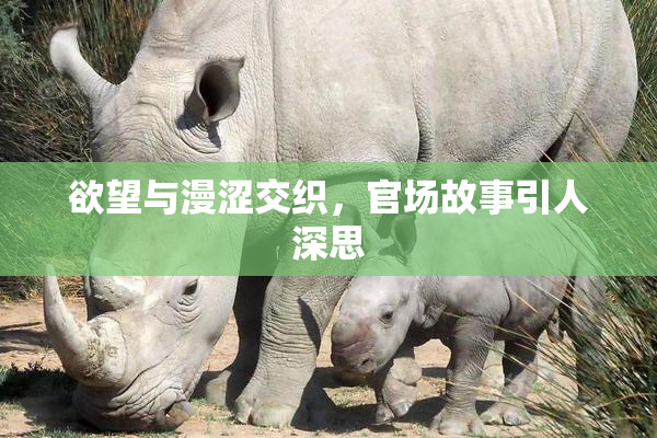 欲望与漫涩交织，官场故事引人深思