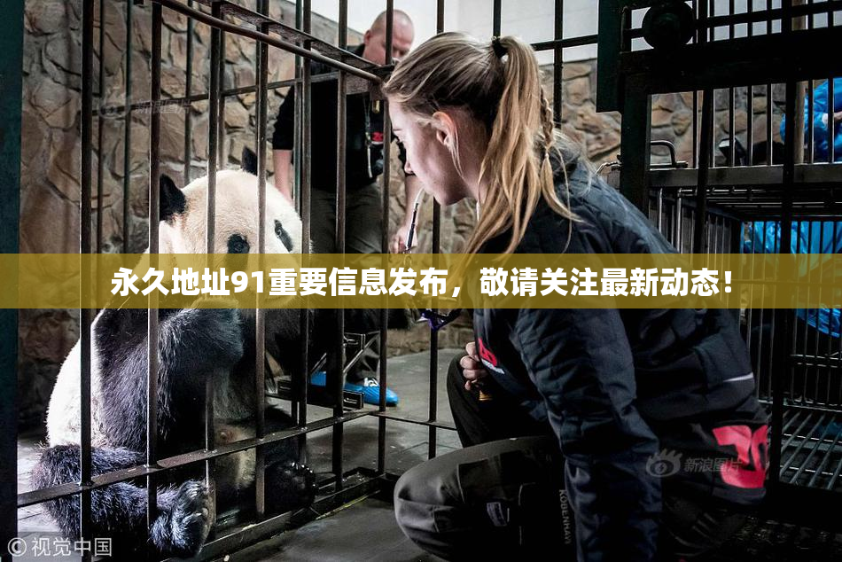 永久地址91重要信息发布，敬请关注最新动态！