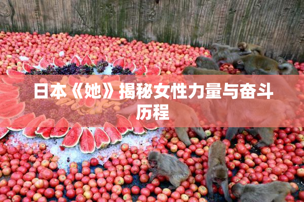 日本《她》揭秘女性力量与奋斗历程