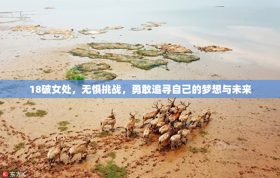 18破女处，无惧挑战，勇敢追寻自己的梦想与未来