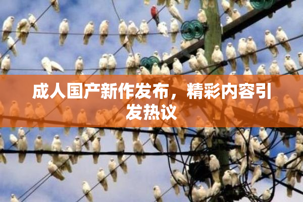 成人国产新作发布，精彩内容引发热议