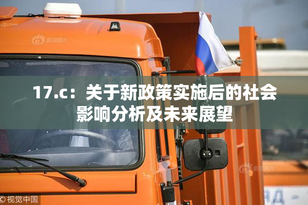 17.c：关于新政策实施后的社会影响分析及未来展望