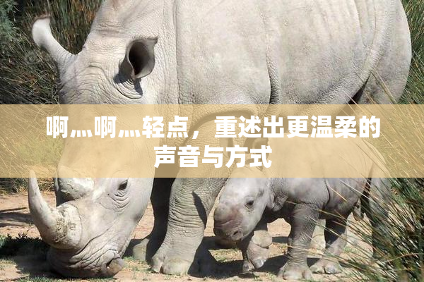 啊灬啊灬轻点，重述出更温柔的声音与方式