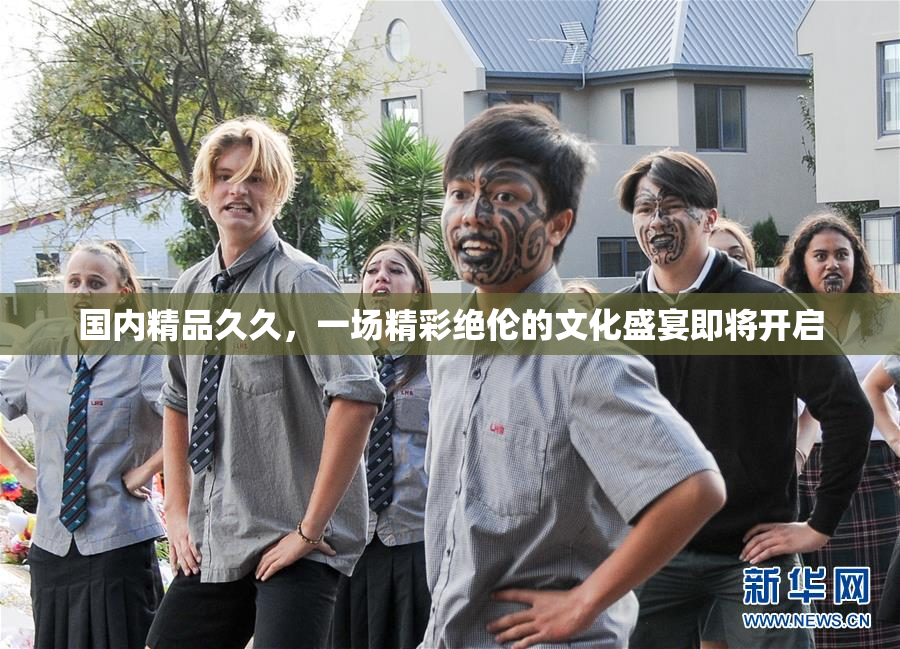 国内精品久久，一场精彩绝伦的文化盛宴即将开启