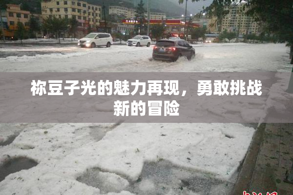 祢豆子光的魅力再现，勇敢挑战新的冒险