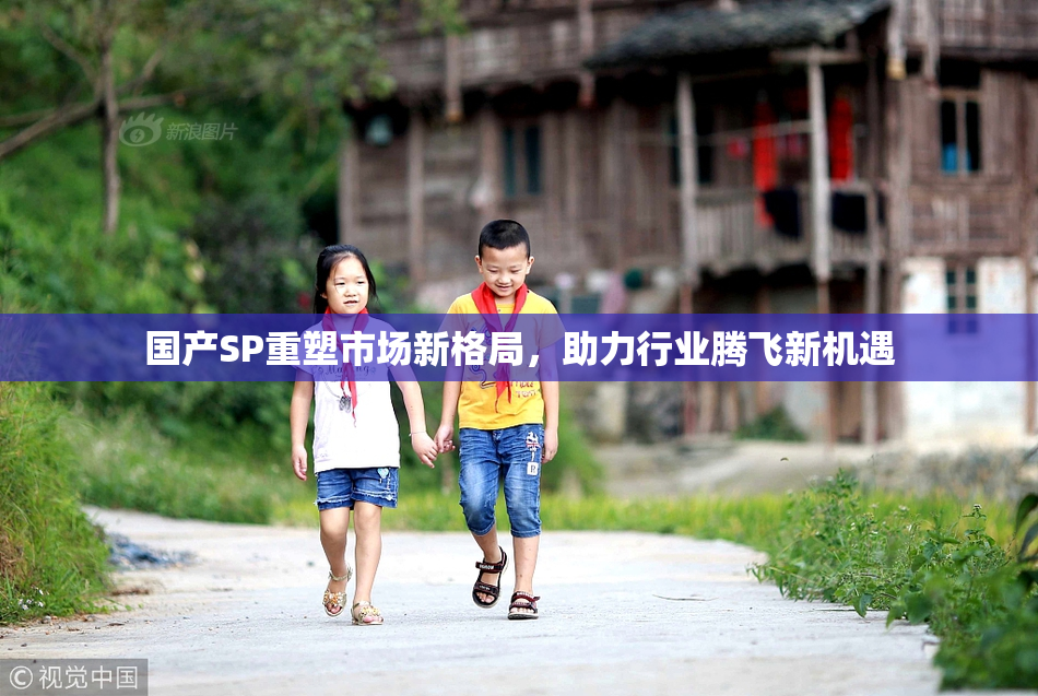 国产SP重塑市场新格局，助力行业腾飞新机遇