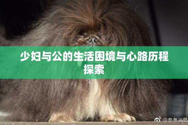 少妇与公的生活困境与心路历程探索