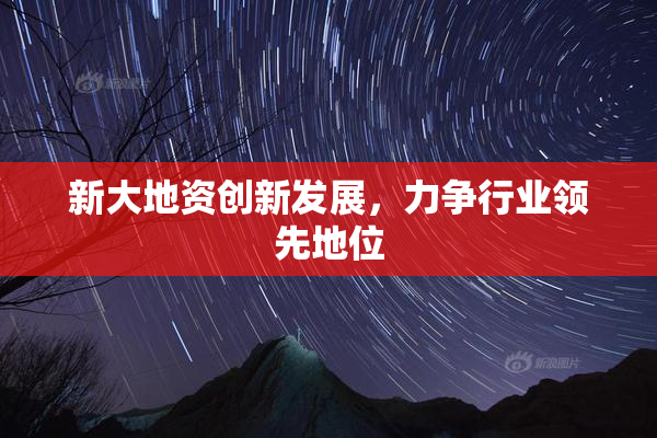 新大地资创新发展，力争行业领先地位