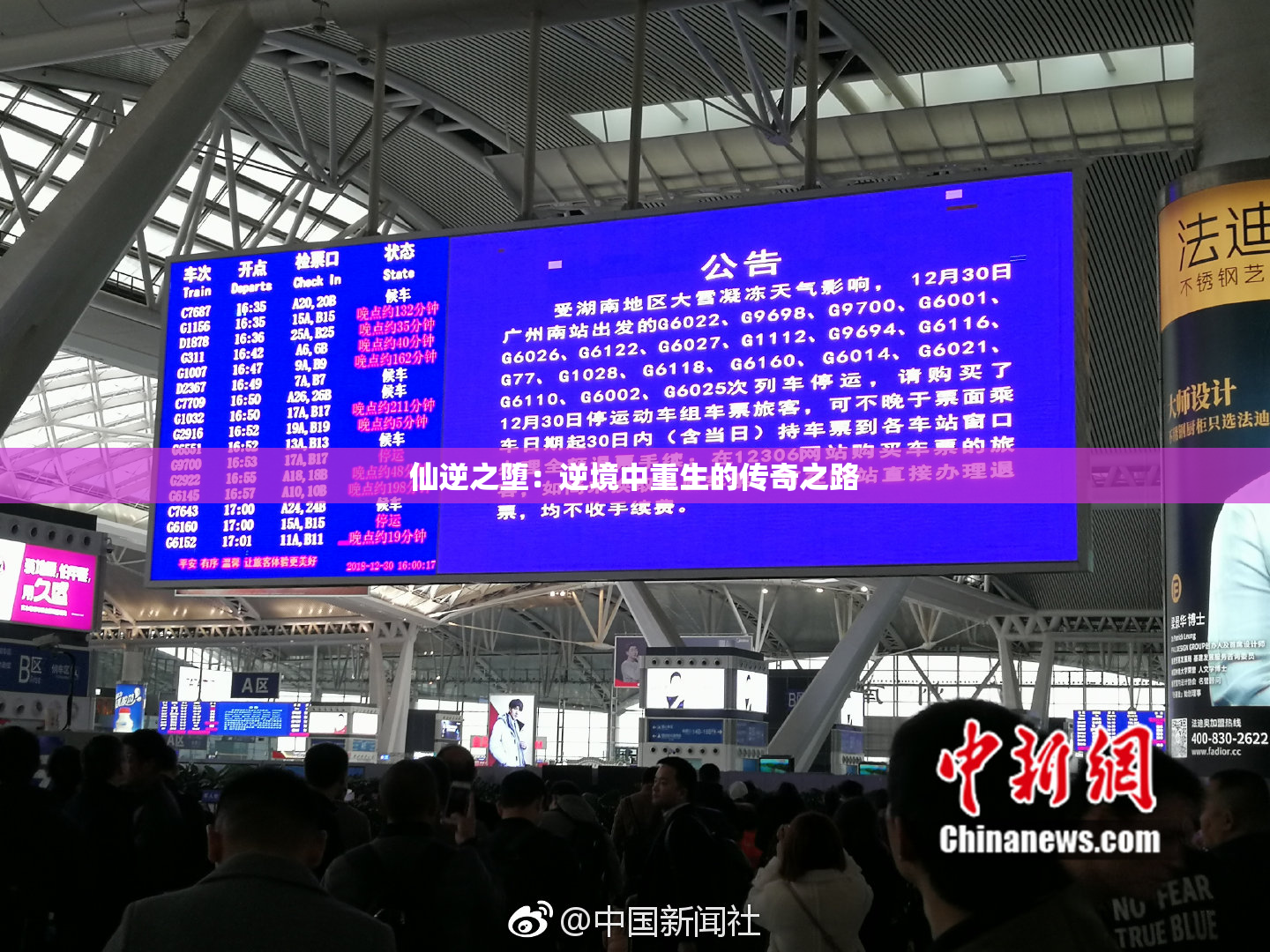 仙逆之堕：逆境中重生的传奇之路