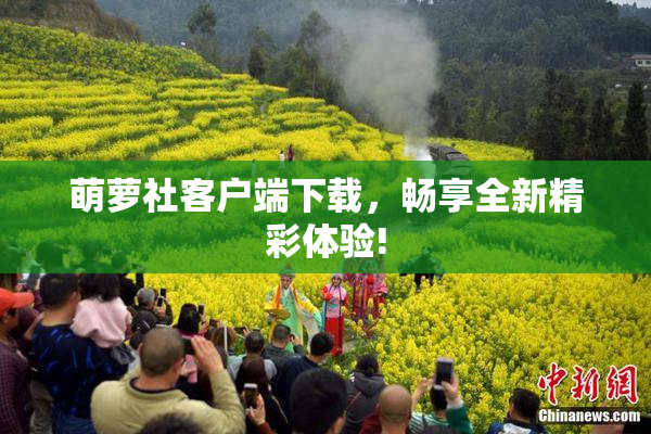 萌萝社客户端下载，畅享全新精彩体验!