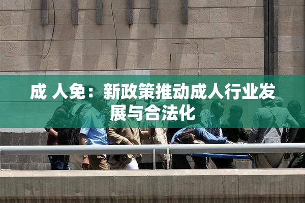 成 人免：新政策推动成人行业发展与合法化