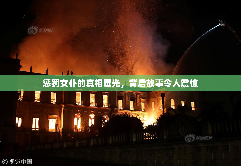 惩罚女仆的真相曝光，背后故事令人震惊