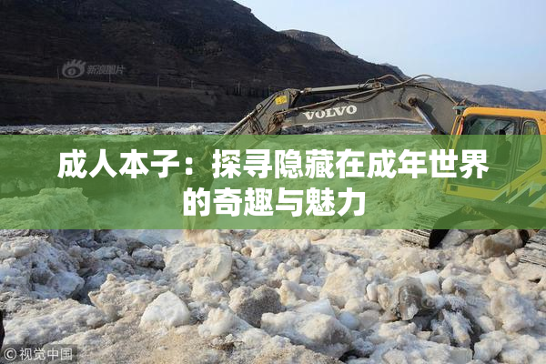成人本子：探寻隐藏在成年世界的奇趣与魅力