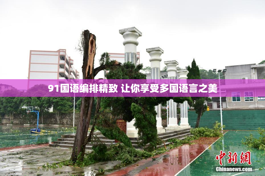 91国语编排精致 让你享受多国语言之美