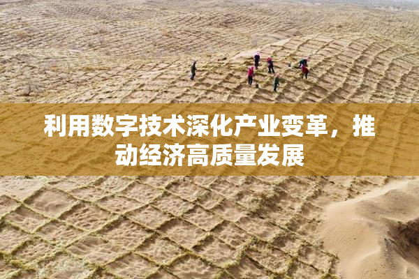 利用数字技术深化产业变革，推动经济高质量发展