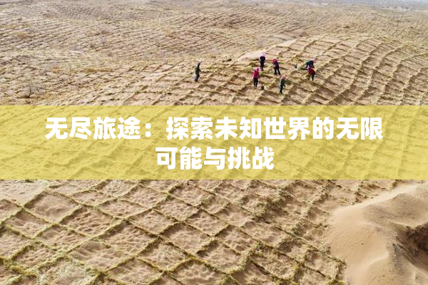 无尽旅途：探索未知世界的无限可能与挑战