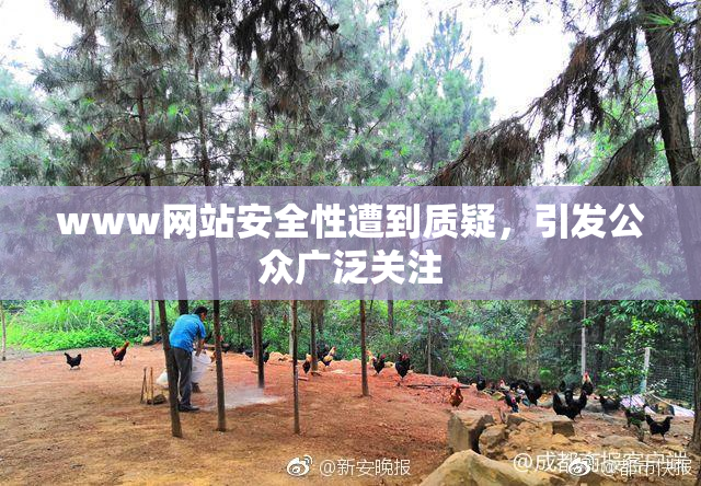 www网站安全性遭到质疑，引发公众广泛关注