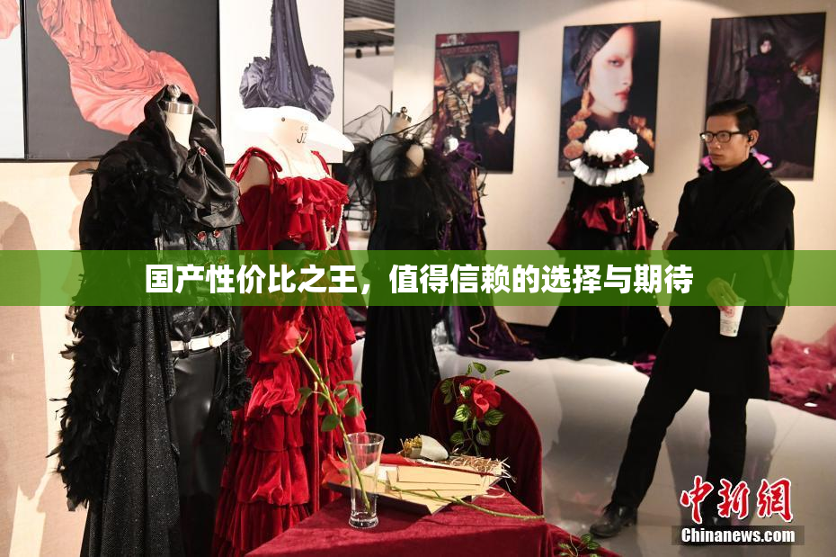 国产性价比之王，值得信赖的选择与期待