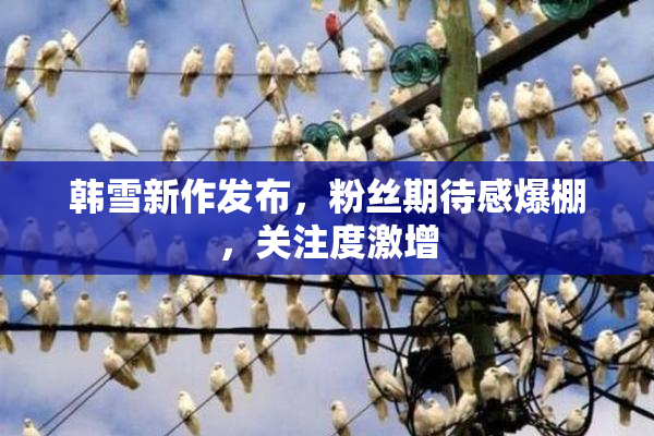 韩雪新作发布，粉丝期待感爆棚，关注度激增