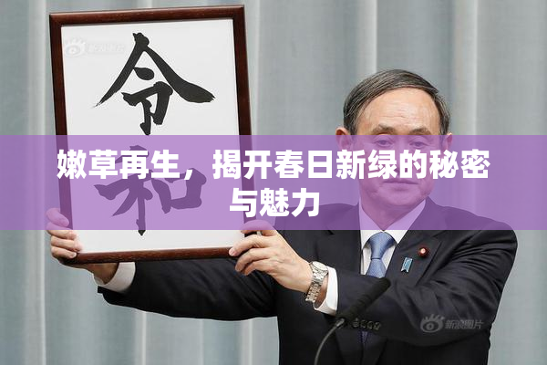 嫩草再生，揭开春日新绿的秘密与魅力