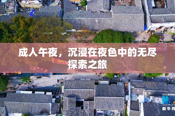 成人午夜，沉浸在夜色中的无尽探索之旅