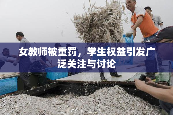 女教师被重罚，学生权益引发广泛关注与讨论