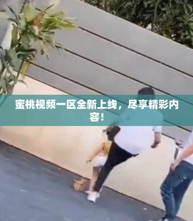 蜜桃视频一区全新上线，尽享精彩内容！