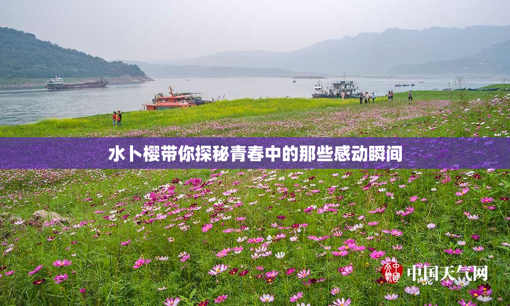 水卜樱带你探秘青春中的那些感动瞬间